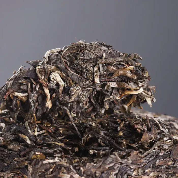 2018 MengKu RongShi "Tou Cai - Ji Shao Shu" (1st Picking - Rare Tree) Cylinder 600g Puerh Raw Tea Sheng Cha - King Tea Mall
