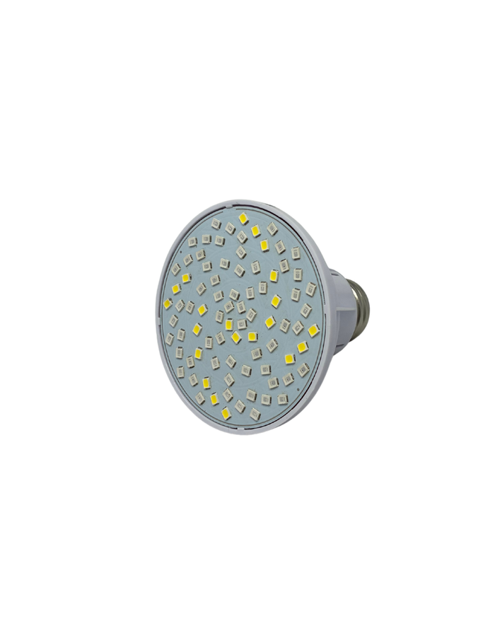 AquaBright™ Spa Size LED Replacement Bulb 12V