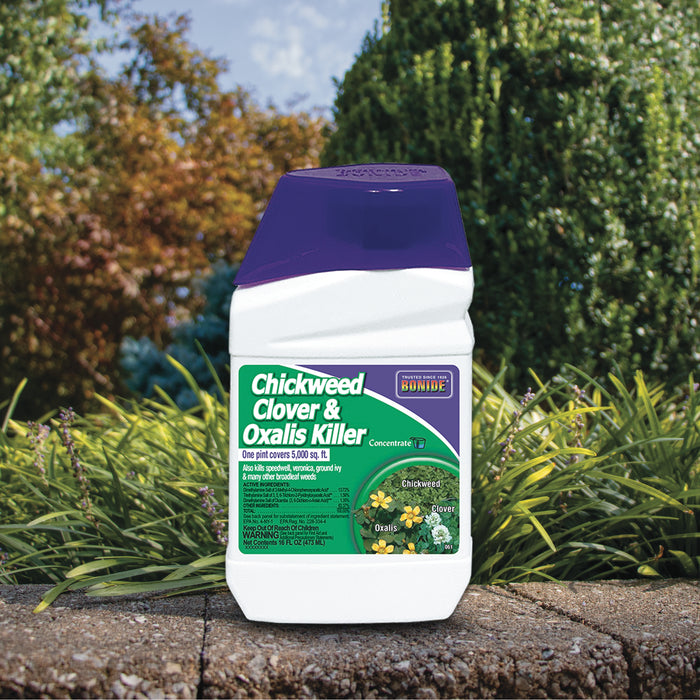 Bonide Chickweed, Clover & Oxalis Killer Concentrate