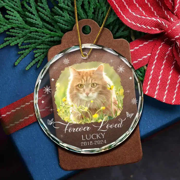 Custom Photo Memorial Pet Loss Keepsake - Personalized Circle Glass Ornament
