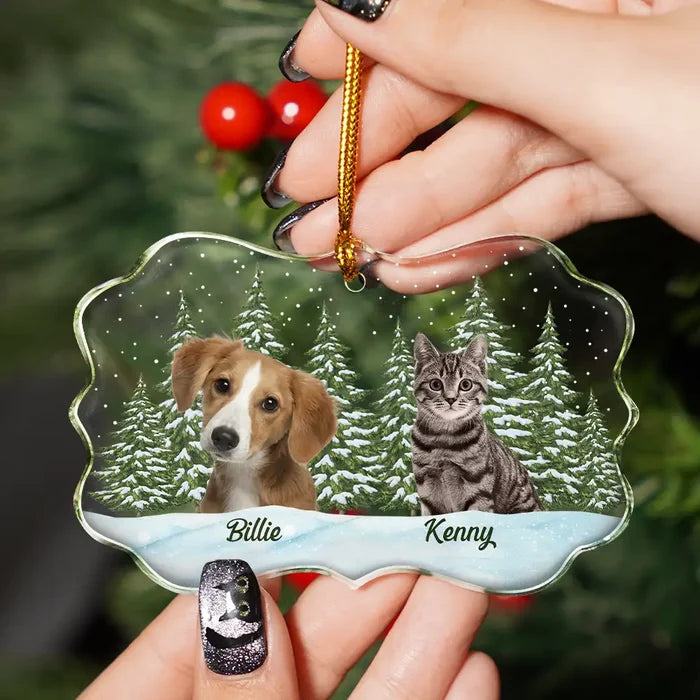 Memorial,Pet Lovers,Cat Lovers,Dog Lovers,Love,Continue Shopping - Custom Photo Pet Face Dog Cat Family - Personalized Medallion Glass Ornament