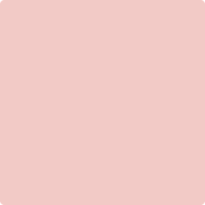 Shop the paint color 1290 Fantasy Pink by Benjamin Moore at Anderson Paint Company in Ann Arbor, Michigan.