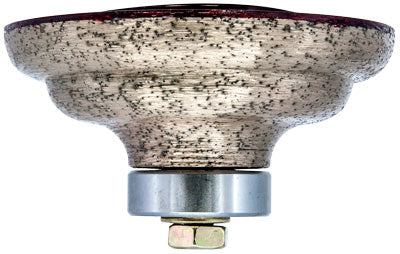 Hurricane Cove/Ogee Router Bit