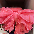 IN AWE BOW/CANDY PINK