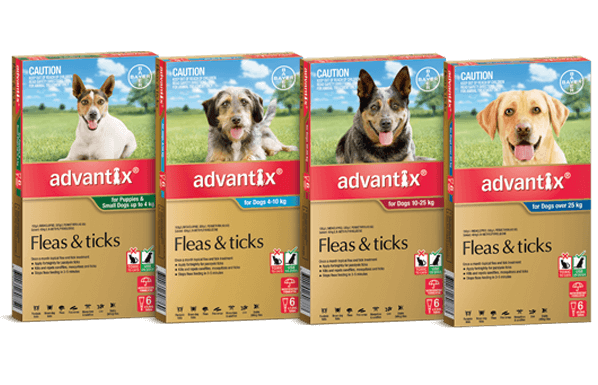 K9 Advantix