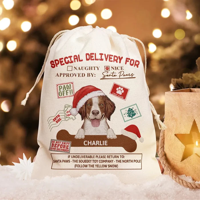 Special Delivery From Cute Santa Paws - Personalized Favor Bag