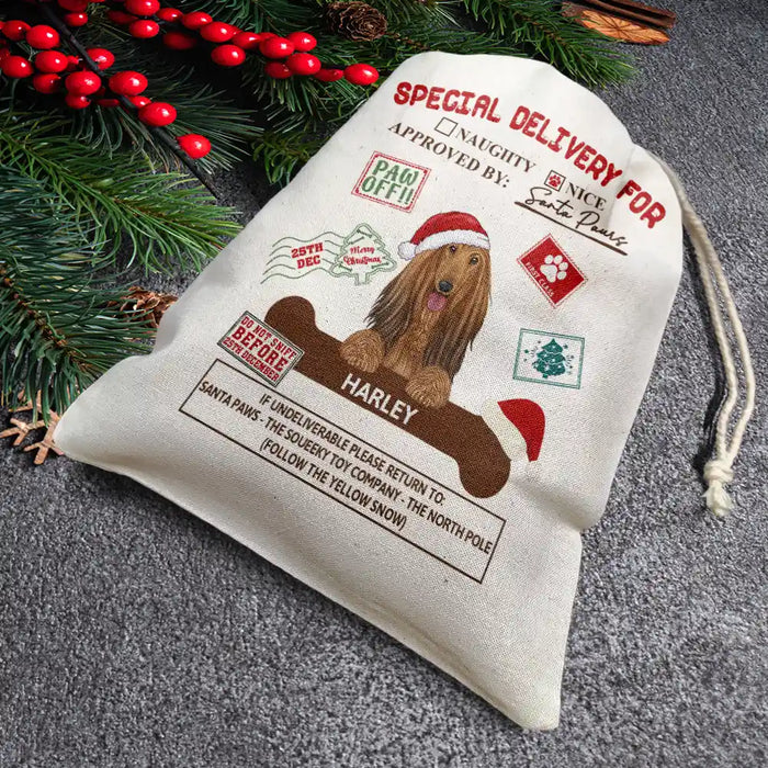 Special Delivery From Cute Santa Paws - Personalized Favor Bag