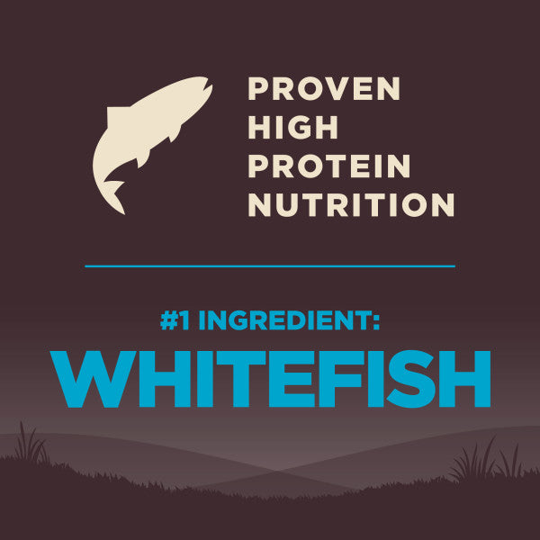 Wellness CORE Wholesome Grains Ocean Whitefish Dog Food